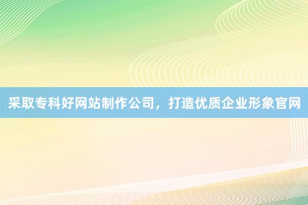 采取专科好网站制作公司，打造优质企业形象官网