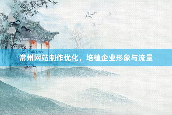 常州网站制作优化，培植企业形象与流量