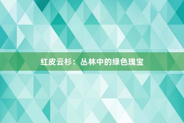 红皮云杉：丛林中的绿色瑰宝