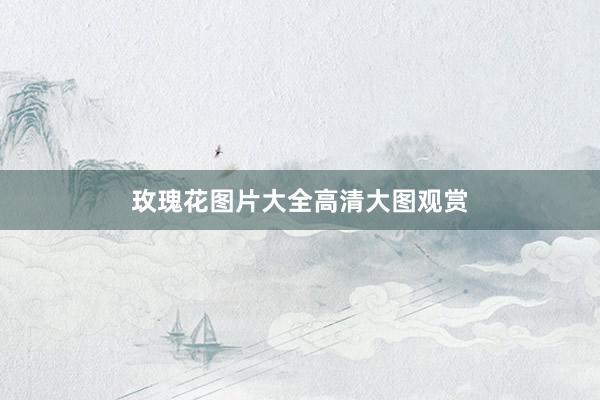 玫瑰花图片大全高清大图观赏
