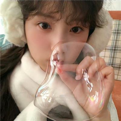 完美的独裁国家
